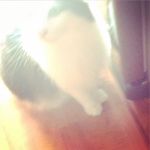 Ruby Jane Roach - @roa0002 - Instagram