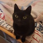 Ruby Roach - @rubyandroach - Instagram