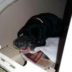 Ruby Roach McCarthy - @ruby_mccarthy0518 - Instagram