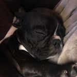 Ruby Rocha - @ruff.ruff.ruby - Instagram