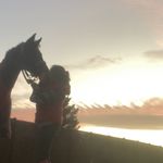 ❤️Ruby❤️ - @ruby.rodgers.equestrian.main - Instagram