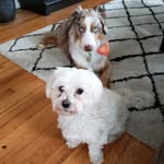 Ruby & Rowan - @ruby_and_rowan - Instagram