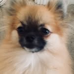 ❤️ Ruby Rush ❤️ - @_ruby_rush_x - Instagram