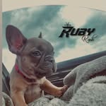 𝙍𝙪𝙗𝙮 𝙍𝙪𝙨𝙝 - @ruby_rush - Instagram