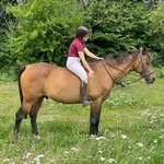 Ruby & Sampson ✨ - @ruby_equine_ - Instagram