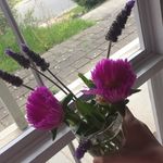 @ruby_saunders_ - Instagram