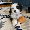 Ruby ‘Chew’ Schwartz - @itsrubychewsday - TikTok
