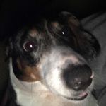 Ruby sheets - @rubyboobie301 - Instagram