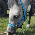 Ruby Sheppard - Facebook