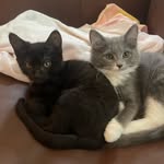 Ruby and Shirley - @ruby_and_shirley - Instagram