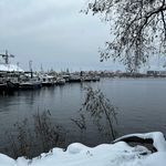 Ruby - @ruby_silverstone - Instagram