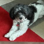 Ruby Skinner Smith - @rubysmith2355 - Instagram