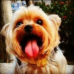 Ruby Solis - @rubysolis86 - Instagram