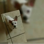 leja Ruby Soliz - @cookie07koko - Instagram