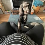 Ruby The Spanner 🐾 - @rubythespanner - Instagram