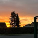 Ruby Steadman - @rubysteadx - Instagram