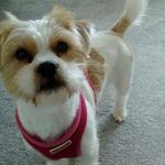 Rubyshansteadman - @rubyshansteadman - Instagram