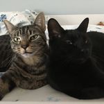 Ruby & Sterling - @rubyandsterling - Instagram