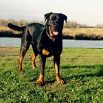 Boo (Ruby Storm)❤️🌈 - @3166boo - Instagram
