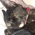 Ruby Mcbain - Facebook