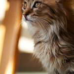 Ruby Strickland - @piravismit - Instagram