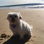 ruby stubbs - @rubsta_ - Instagram