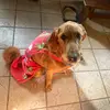RUBYTAYLOR - @rruby..taylorr - TikTok