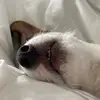 rubytaylort - @rubydachurr - TikTok