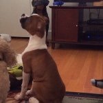 Ruby Thacker - @rthacker1 - Instagram