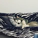 Ruby Turpin - @xo.rubyturpin.xo - Instagram