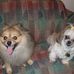 Ruby Upshaw - Facebook
