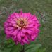 Ruby Upshaw - Facebook