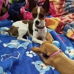 Ruby Valencia - Facebook