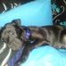 Ruby Waller - Facebook