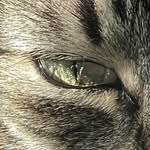 RUBY WANG - @_rnb_w - Instagram