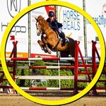 Ruby Ward 🇬🇧 - @rubyward.eq - Instagram