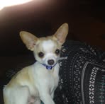 Ruby Ware - Facebook