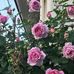 Ruby Washington - Facebook