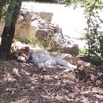 Ruby Waters - @rubywaters77 - Instagram