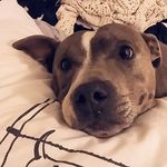 Ruby Waters - @ruby_waters_oxox - Instagram