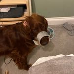 @ruby_watkinson66 - Instagram