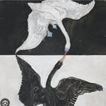 ruby - @ruby_webster - Instagram