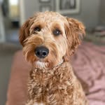 Ruby Webster - @rubesterwebster - Instagram
