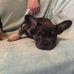 Ruby Wheeler - Facebook