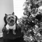 Ruby - @rubywilcox_ - Instagram