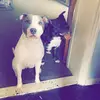 RUBYY WILCOX - @rubyy.wilcox - TikTok