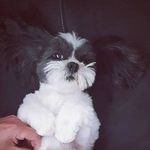 Ruby Wiley - @rubywiley731 - Instagram