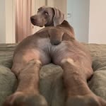 Ruby Wilkerson - @rubywilkerson543 - Instagram