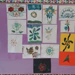 Ruby Wing - @tcsphoto2019 - Instagram