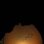 Ruby Wango - Facebook